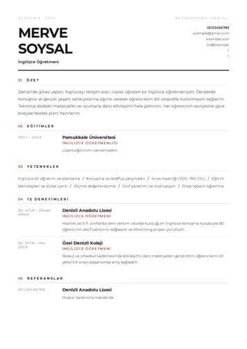 Yabancı Dil Öğretmeni Cv Örnekleri cv indir